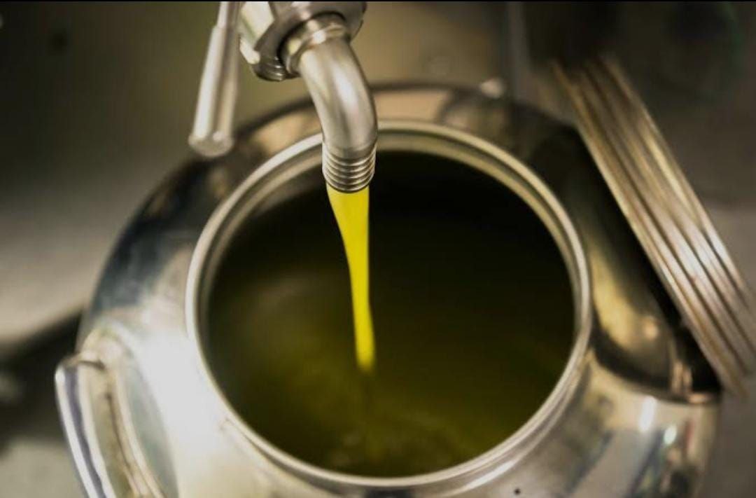 L’olio appena separato